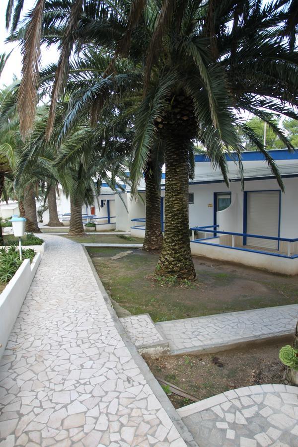 Hotel Gabbiano San Domino Exteriér fotografie
